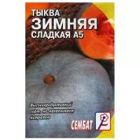 Семена Тыква "Зимняя Сладкая", 1 г