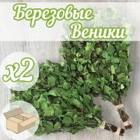 Веники для бани березовый 2шт в картонной коробке двойная вязка натуральным льняным шпагатом