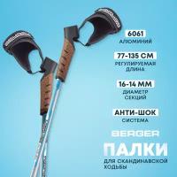 Скандинавские палки BERGER Nimbus 2-секционные, 77-135 см, серебристый/голубой