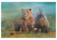 Термосалфетка 40х60 3D медведи