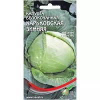 Капуста белокочанная Харьковская зимняя, 190 семян