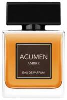 Парфюмерная вода Dilis Acumen AMBRE edt100ml (версия MontblLegNight)