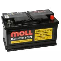 Авто аккумулятор MOLL Kamina 80SR