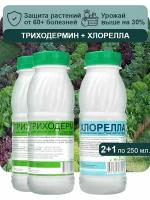 СтартПак-21 набор, удобрения для роста и защиты растений