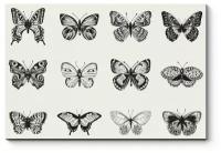 Модульная картина Черно-белые бабочки 210x140