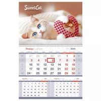 Календари Календарь квартальный 1 бл. на гребне OfficeSpace Mono premium "Sweet cat", 2022г