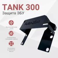 Сейф-защита ЭБУ TANK 300 (2021-2024)