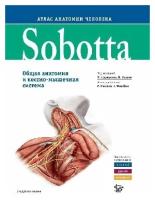 Соботта Иоханнес / Редакция Ф. Паульсен, Й. Вашке "Sobotta. Атлас анатомии человека том 1, изд.2"