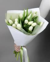 Тюльпаны белые 17 штук "Сноугерл" 50 см Голландия