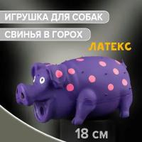 Игрушка для собак свинья со звуком 18х9,5х8,5 см латекс / ZooMoDa