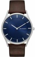 Наручные часы SKAGEN Holst