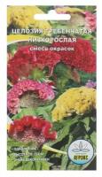 Семена Цветов однолетние Целозия "Смесь окрасок", гребенчатая, низкорослая, 0,1 г