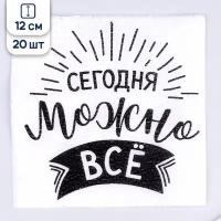 Салфетки бумажные Страна Карнавалия Прикольные с надписями, Сегодня можно все, 12 см, 20 шт