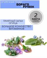 Огуречная Трава Бораго и Ручеек 2 пакета по 0,5г семян