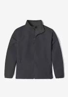 The North Face Куртка Camden Soft Shell Jacket, L, Asphalt Grey Dark Heather