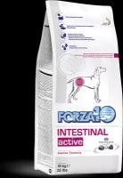 Корм для собак с проблемами в области ЖКТ Forza10 Intestinal Active 10кг