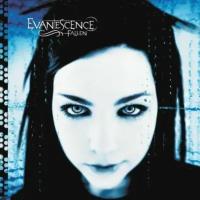 Evanescence - Fallen/ Vinyl, 12" [LP/180 Gram/Printed Inner Sleeve with Lyrics](Reissue 2017)