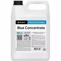 Профхим д/руч. мытья пола щел д/керам. плитки Pro-Brite/Blue Concentrate,5л