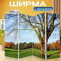 Ширма перегородка с принтом "Дерево, голые ветки, осеннее дерево" на холсте - 200x160 см. для зонирования, раскладная