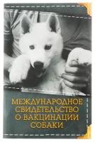 Международное свид-во "О вакцинации собаки", 10,3 х 15,1 см