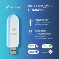 Модуль съёмный управляющий Hommyn HDN/WFN-02-01 Wi-Fi