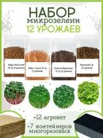 Набор для выращивания Микрозелени, 12 урожаев
