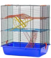 Клетка для грызунов Inter- Zoo G046 Gino II + Equipment с цветными металлическими этажами, пружиной и колесом 42 х 29 х 49 см (1 шт)