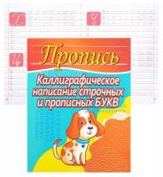 Пропись Пушков А.Е. Каллиграфическое написание строчных и прописных букв (2 вар.обл.), (Кузьма, Прин