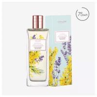 Туалетная вода Women´s Collection Powdery Mimosa