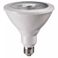 Лампа светодиодная jazzway Ppg Agro 5004702, E27, PAR38, 15 Вт