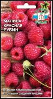 Малина "Седек" Рубин красная 0,05г