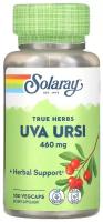 Solaray, толокнянка обыкновенная (Uva ursi), 460 мг, 100 вегетарианских капсул