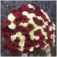 Букет живых цветов 101 роза Ред Наоми и Аваланч 50 см
