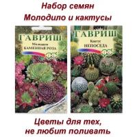 Семена, набор семян комнатные цветы серия Кактусы и суккуленты, 2 пакета