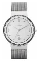 Наручные часы Skagen SKW1058