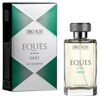 Парфюмерная вода Carlo Bossi Eques GREY edp100ml (версия Boss)