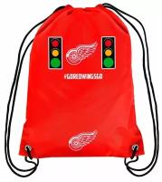 Мешок Detroit Red Wings