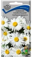 Семена цветов Нивяник наибольший "Серебряная принцесса" 0,15 г
