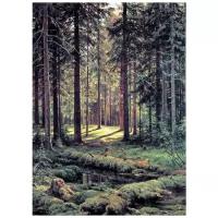 Репродукция на холсте Хвойный лес. Солнечный день (Coniferous forest. Sunny Day) Шишкин Иван 40см. x 55см