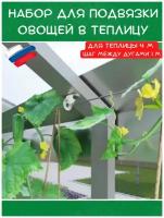 Набор для подвязки растений ( помидоров, огурцов, цветов) в теплице длиной 4 м. шаг между дугами 1 м. Система для подвязки овощей в теплицу