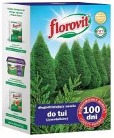 Удобрение для туй длительного действия 100 дней, 1 кг Флоровит (Florovit)