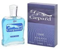 Positive Parfum men (alain Aregon) Gepard - Enzo Туалетная вода 95 мл