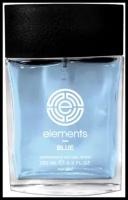 Today Parfum Мужской Elements Blue Туалетная вода (edt) 100мл