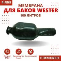 Мембрана для гидроаккумулятора Wester 100