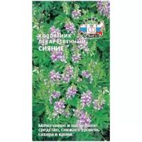 Семена Козлятник лекарственный "Сияние", 3 гр. + 2 Подарка