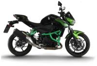 Клетка на мотоцикл KAWASAKI Z400 CRAZY IRON серии PRO