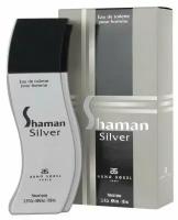 Arno Sorel туалетная вода Shaman Silver, 100 мл