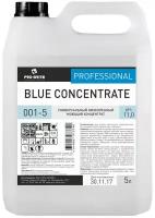 Профхим д/руч.мытья пола щел д/керам.плитки Pro-Brite/Blue Concentrate,5л