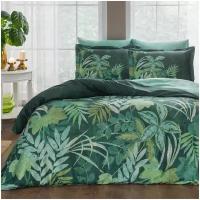 КПБ LINENS SATEN ALLDAY/евро/MELINDA, зеленый. Пододеяльник 200x220 см; простыня 260x270 см; наволочка 50x70 см (2 шт.), наволочка с воланом 50x70 см (2 шт.)