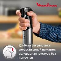 Погружной блендер Moulinex DD95MD10, черный/серебряный